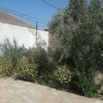 Kirayə (aylıq) 3 otaqlı Bağ evi, Zaqulba, Xəzər rayonu 4