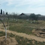 Satılır Torpaq, Novxanı, Abşeron rayonu 3