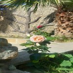 Satılır 4 otaqlı Həyət evi/villa, Lökbatan qəs., Sədərək ticarət mərkəzi, Qaradağ rayonu 4