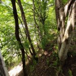 Kirayə (günlük) 4 otaqlı Həyət evi/villa Qəbələ 12