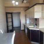 Kirayə (aylıq) 2 otaqlı Yeni Tikili, Həzi Aslanov metrosu, Əhmədli, Xətai rayonu 11