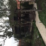 Kirayə (aylıq) 8 otaqlı Həyət evi/villa, Bilgəh qəs., Sea Breeze, Sabunçu rayonu 60