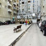 Satılır 4 otaqlı Yeni Tikili, 28 May metrosu, Nəsimi rayonu 27