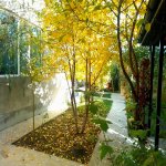 Посуточно 4 комнатная Дома/Виллы Гусар 24