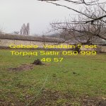 Satılır Torpaq Qəbələ 5