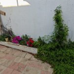 Kirayə (aylıq) 3 otaqlı Bağ evi, Mərdəkan, Xəzər rayonu 14