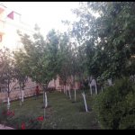 Аренда 6 комнат Дача, Новханы, Абшерон район 14