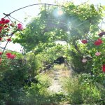 Satılır 9 otaqlı Bağ evi, Binə qəs., Xəzər rayonu 19