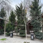 Kirayə (aylıq) Obyekt, Azadlıq metrosu, Binəqədi rayonu 10