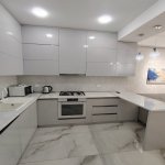 Kirayə (aylıq) 2 otaqlı Yeni Tikili, Nəriman Nərimanov metrosu, Nərimanov rayonu 5