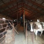 Satılır 3 otaqlı Həyət evi/villa, Ceyranbatan qəs., Abşeron rayonu 18