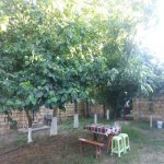 Kirayə (günlük) 4 otaqlı Bağ evi Xaçmaz / Nabran 1