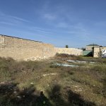 Satılır Torpaq, Buzovna, Xəzər rayonu 6
