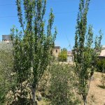 Satılır 5 otaqlı Bağ evi, Novxanı, Abşeron rayonu 4