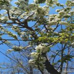 Продажа 3 комнатная Дома/Виллы, НЗС, Хетаи район 14