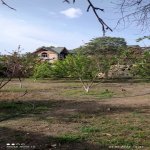Satılır 4 otaqlı Həyət evi/villa Mingəçevir 10