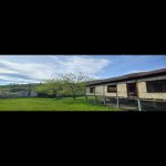 Satılır Torpaq Qəbələ 18