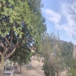 Satılır 4 otaqlı Həyət evi/villa Siyazən 4
