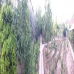 Kirayə (aylıq) 8 otaqlı Həyət evi/villa, Şüvəlan, Xəzər rayonu 4