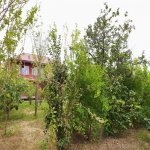 Satılır 4 otaqlı Bağ evi, Novxanı, Abşeron rayonu 24