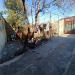 Продажа 3 комнатная Дома/Виллы Хырдалан 3