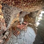 Kirayə (aylıq) 6 otaqlı Bağ evi, Novxanı, Abşeron rayonu 9