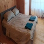 Kirayə (günlük) 3 otaqlı Bağ evi Şəki 14