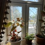 Kirayə (aylıq) 3 otaqlı Köhnə Tikili, İçərişəhər metrosu, Səbail rayonu 7