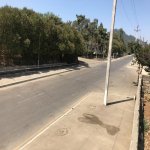 Satılır Torpaq Lənkəran 7