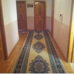 Satılır 10 otaqlı Həyət evi/villa, Saray, Abşeron rayonu 9