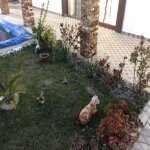 Kirayə (aylıq) 5 otaqlı Həyət evi/villa, Novxanı, Azad qadın heykəli, Abşeron rayonu 64