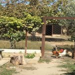 Satılır 5 otaqlı Həyət evi/villa Sumqayıt 14