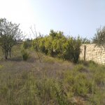 Satılır Torpaq, Fatmayi, Abşeron rayonu 12