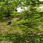 Satılır 8 otaqlı Həyət evi/villa İsmayıllı 7