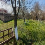 Satılır Torpaq, Novxanı, Abşeron rayonu 8