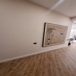 Аренда 4 комнатная Новостройка, м. 28 Мая метро, Насими район 11