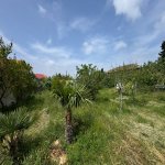 Продажа Участок, Мярдякан, Хязяр район 6
