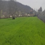 Satılır Torpaq Qəbələ 1