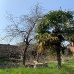Satılır 9 otaqlı Həyət evi/villa Lənkəran 3