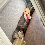 Kirayə (aylıq) 2 otaqlı Yeni Tikili Sumqayıt 9