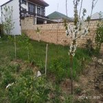 Продажа 6 комнат Дача, Мехдиабад, Абшерон район 2