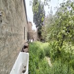 Аренда 5 комнат Дача, Джейранбатан , Абшерон район 13