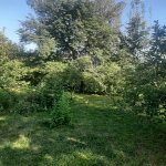 Satılır Torpaq İsmayıllı 3