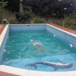 Kirayə (aylıq) 7 otaqlı Həyət evi/villa, Badamdar qəs., Səbail rayonu 21