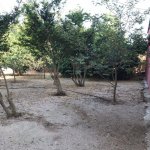 Satılır 4 otaqlı Bağ evi, Türkan, Xəzər rayonu 3