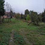 Kirayə (aylıq) 1 otaqlı Bağ evi İsmayıllı 6