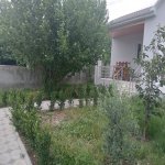 Kirayə (günlük) 3 otaqlı Həyət evi/villa İsmayıllı 16