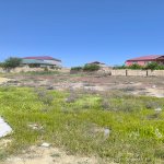 Satılır Torpaq, Saray, Abşeron rayonu 2