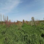 Продажа Участок Хачмаз 27