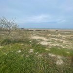 Satılır Torpaq, Novxanı, Abşeron rayonu 1